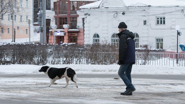 Синоптики прогнозируют умеренно морозную погоду в воскресенье в Томске