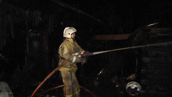 Восемь человек, в том числе трое детей,  погибли в пожаре в Молчаново