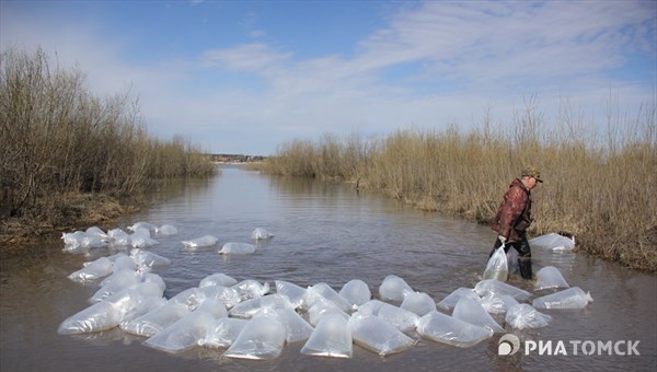Транснефть–Центральная Сибирь выпустила 1,3млн личинок пеляди в Томь