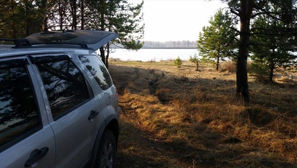 Власти хотят ограничить доступ в лес томичам в пожароопасных районах