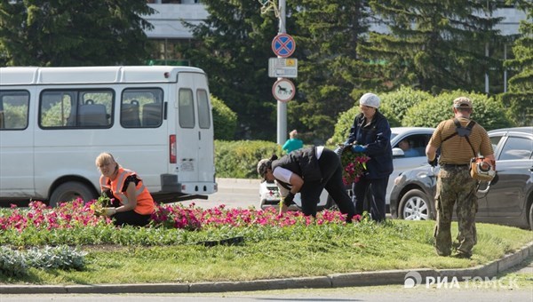 Ковров из тюльпанов в Томске больше не будет