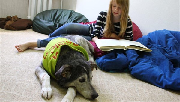 Дети читали сказки собакам на первом занятии в томской библиотеке