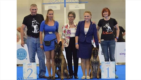 Томские собаки Баста, Фил и Гарик победили на мировом конкурсе красоты