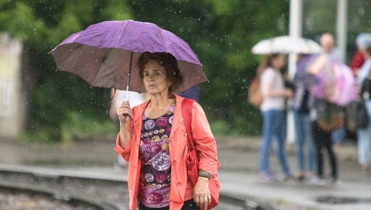 Погода в первой декаде июля в Томской области будет теплой и дождливой