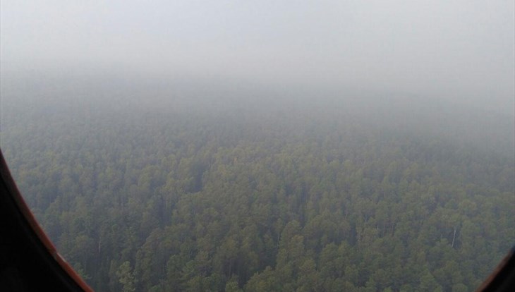Площадь лесных пожаров в Томской области за сутки выросла в 2,7 раза