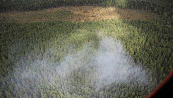 Пять лесных пожаров потушены за сутки в Томской области