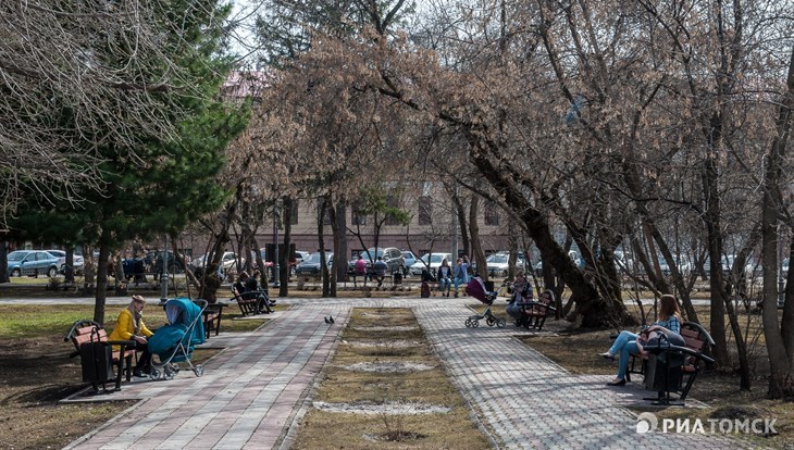Теплая погода без осадков сохранится в Томске в понедельник