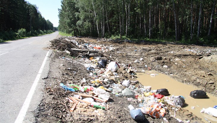 Суд обязал томские власти убрать в лесах 120 кубометров мусора