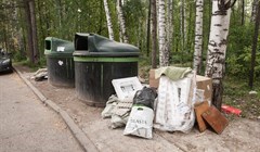 Томские власти: мусорных контейнеров не хватает 6 районам и Стрежевому
