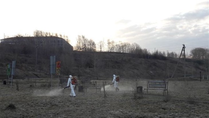 Обработка от клещей в Томске начнется не раньше второй декады апреля