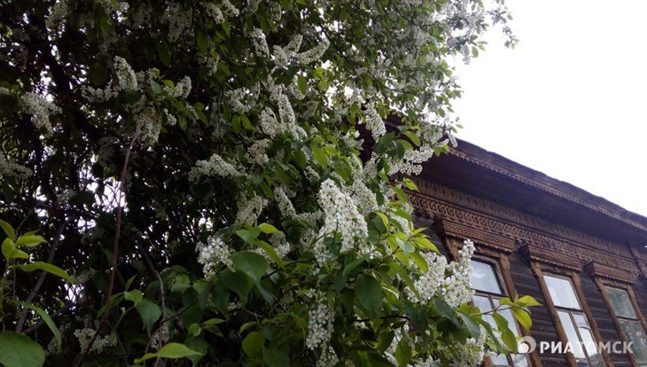 Синоптики рассказали о погоде на майские праздники в Томске и области
