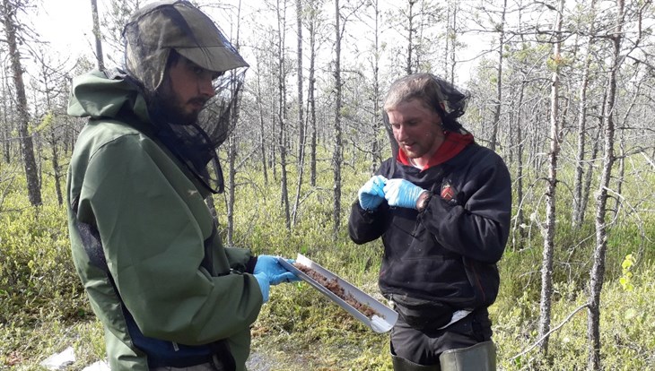 Ученые ТГУ помогли британским коллегам исследовать Васюганские болота