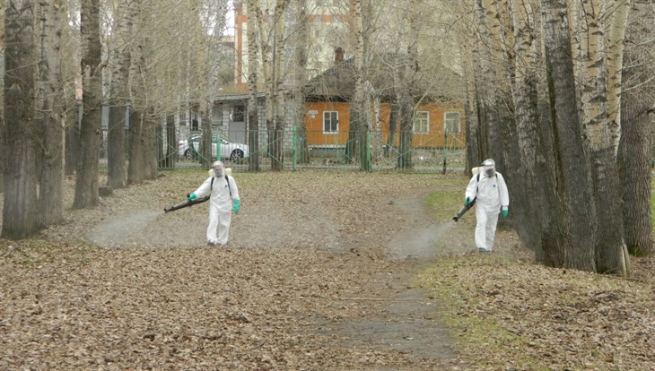 Специалисты обработают Томск от клещей с установлением теплых ночей