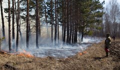 Высокий риск лесных пожаров прогнозируют в Томской области в июле