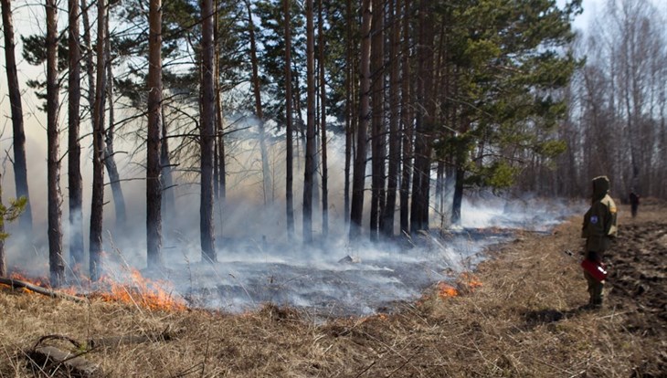 Крупный лесной пожар локализован на севере Томской области