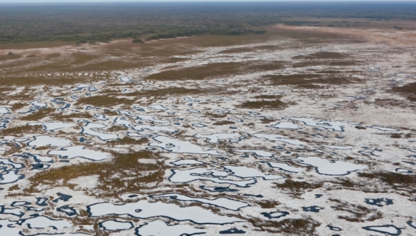 TSU and Newcastle scientists to study the Vasyugan Swamp carbon cycle