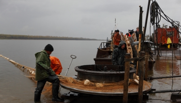 Рыбаки смогут выловить на 10% больше рыбы в 2016г в томских водоемах