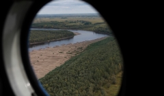 Власти: в Томской области нет действующих лесных пожаров