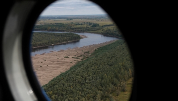 Все лесные пожары в Томской области потушены