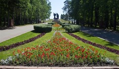 Цветная щепа украсит клумбы в центре Томска к 9 мая