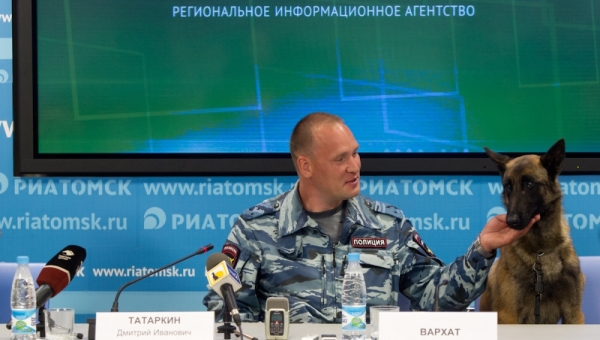 Томские кинологи: бельгийские овчарки в полиции служат лучше немцев