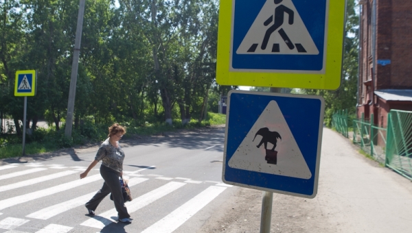 Медведь, динозавр и слон появились на дорожных знаках в Томске