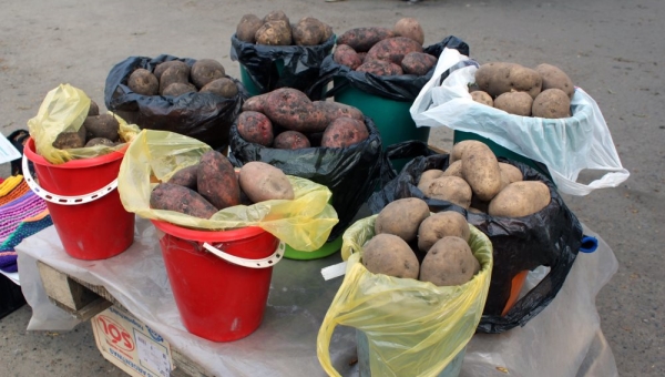 Картошка, гробы и учебники подорожали в Томской области в июне