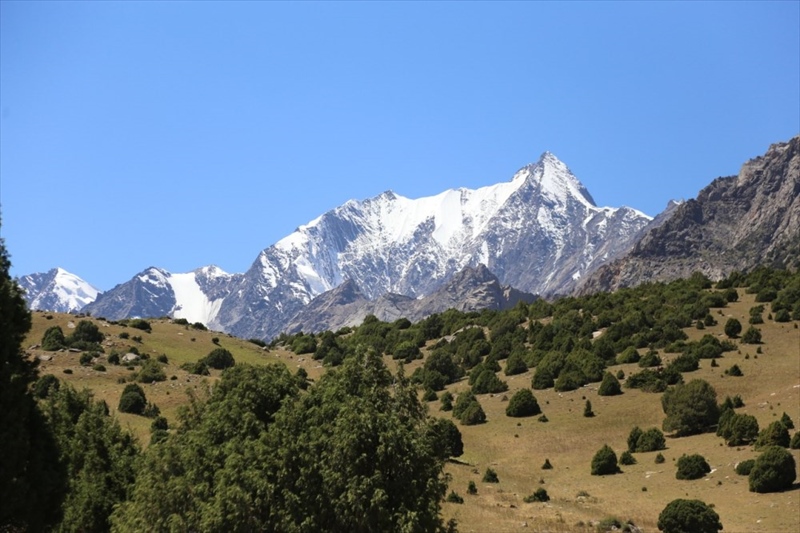 Соревнования проходили в ущелье Каравшин в Баткенской области на юге Киргизии.