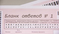 Выпускница из Стрежевого сдала ЕГЭ по информатике на 100 баллов