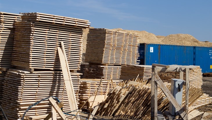 RusKitInvest will start the new plant of sawmilling in Asino in 2019