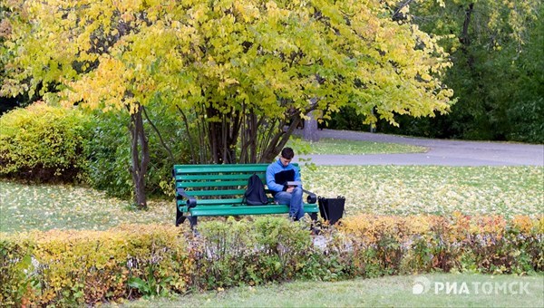 Теплая, но ветреная погода ждет томичей в понедельник