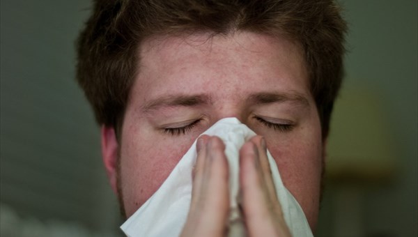 Эксперт: как отличить свиной грипп от обычного, и чем он опасен