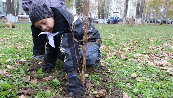 Томичи могут следить за ходом благоустройства дворов на сайте мэрии