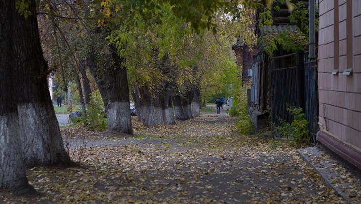 Сырая погода с порывистым ветром ждет томичей в среду