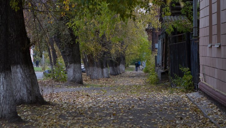 Прохладная дождливая погода сохранится в Томске в понедельник