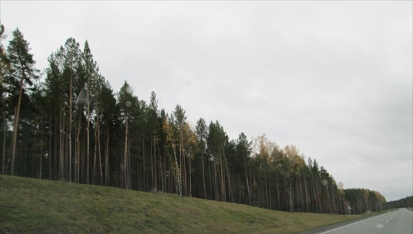 Облдума выделила 309 млн руб на дорогу и новый мост на томском севере