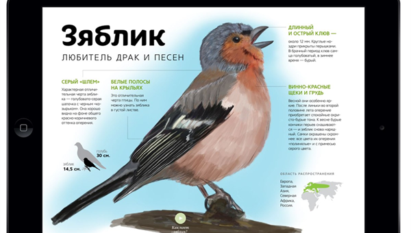 ТГУ выпустил iPad-приложение, чтобы горожане узнавали птиц по голосу