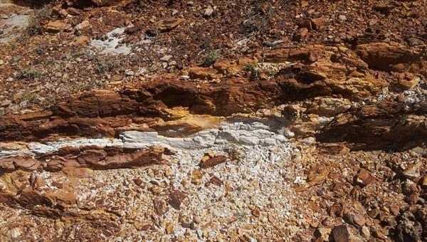 Глава томской геологической фирмы получил 4 года за хищение 18 млн руб