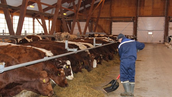 Гранты для томских семейных ферм в 2015г вырастут до 10 млн руб