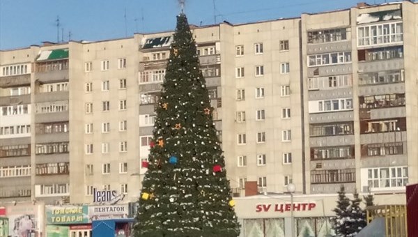 Пять главных новогодних елей установят в Томске в декабре