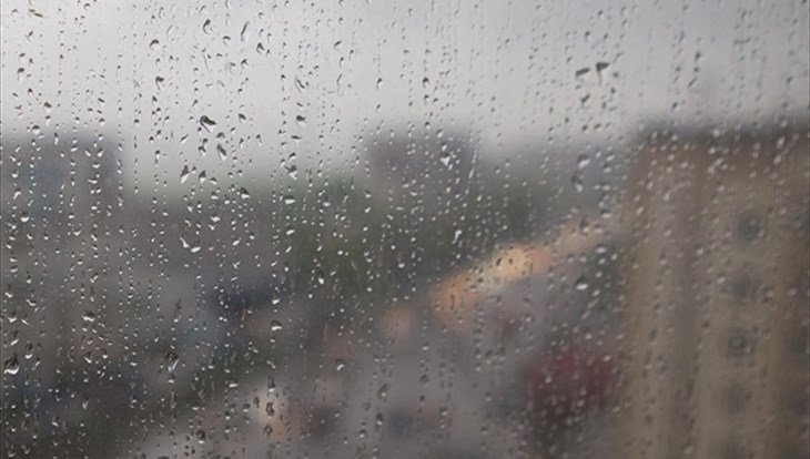 Февральский дождь идет в Томске, это происходит примерно раз в 20 лет