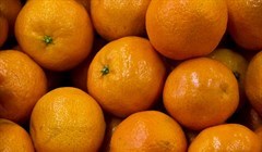 Что за фрукт: как томские эксперты искали в мандаринах витамин С