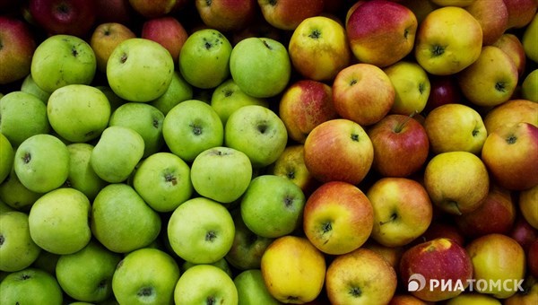 Около 150 тонн санкционных яблок уничтожено в Томской области в 2018г