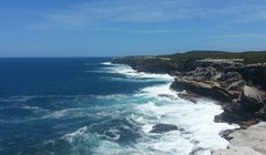 Ученые ТГУ первыми в РФ изучают загрязнение пластиком Японского моря