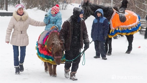 Гордума запретила конные прогулки и торговлю на Новособорной в Томске