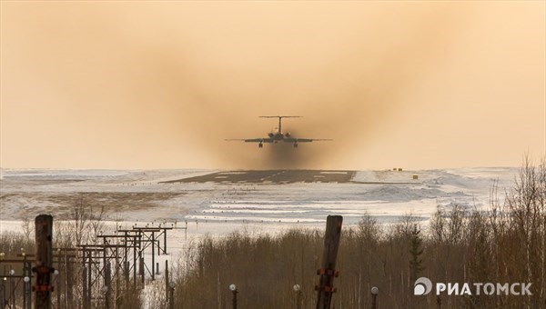 Аэропорт предложит томичам отстреливать птиц, опасных для самолетов