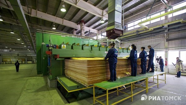 Китайцы уже инвестировали в Асиновский ЛПК 20 млрд руб