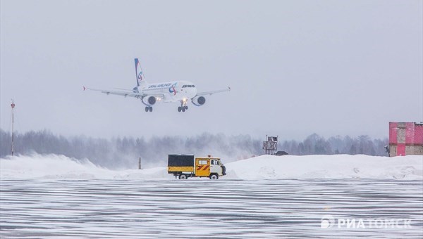 Власти:птиц у аэропорта Томска будут отстреливать проверенные охотники