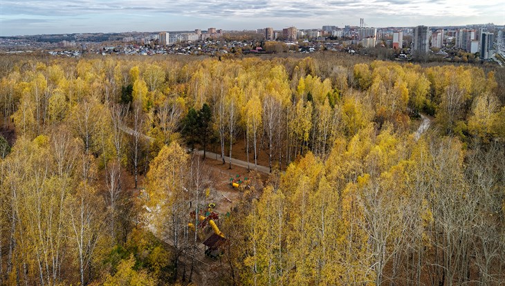 Синоптик: середина октября в Томске будет теплее нормы, но дождливой