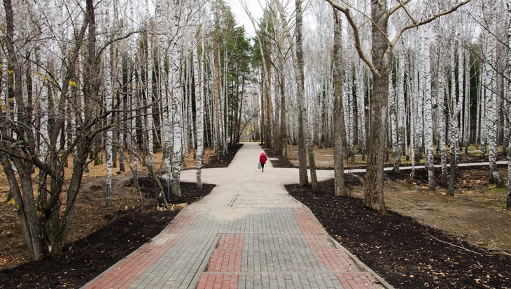 Специалисты в среду обработают от клещей Лагерный сад в Томске